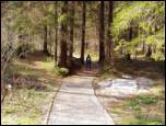 Okrepčevalnica - Zelenci