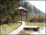 Okrepčevalnica - Zelenci