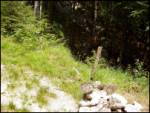 B Postaja - Planina Krnica
