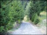 crossroads below Malenski vrh - Gora (cerkev Marijinega vnebovzetja)