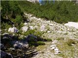 Dom v Planici - Mala Ponca / Ponza Piccola