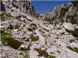 Dom v Planici - Mala Ponca / Ponza Piccola