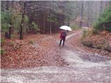 Krašnja - Limbarska gora