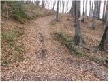 Matke - Dragov dom na Homu mountain hut