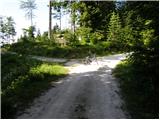 Spodnji Kozjek - Jerebikovec