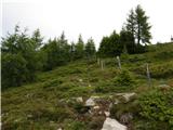 Walischeben  - Weissenstein (Packalpe)