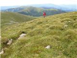 Walischeben  - Hofalmkogel (Packalpe)
