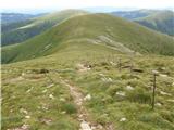 Walischeben  - Hofalmkogel (Packalpe)