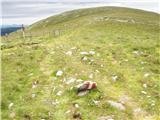 Walischeben  - Speikkogel (Packalpe)