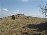 Prešnica - slavnik