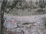 Prešnica - slavnik