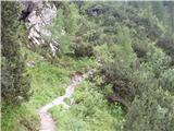 Ravenska Kočna - Mrzla gora