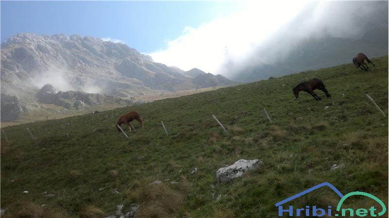 v serpentinah pod Krnom-pogled proti Batognici