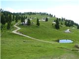 Gojška planina.