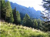 Kranjska planina me vedno očara