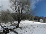 Planina, pobeljeno, a le par cm